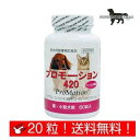 共立製薬 プロモーション420 猫 小型犬用 お試し 体重5kg～12kg 1日2粒 10日分 （20粒） 送料無料（ポスト投函便）