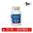 共立製薬 プロアントゾン10mg 小型犬・猫用 お試し20カプセル 送料無料！（ポスト投函便）