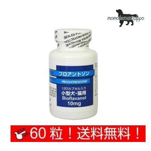 共立製薬 プロアントゾン10mg 小型犬・猫用 お試し60カプセル 送料無料！（ポスト投函便）