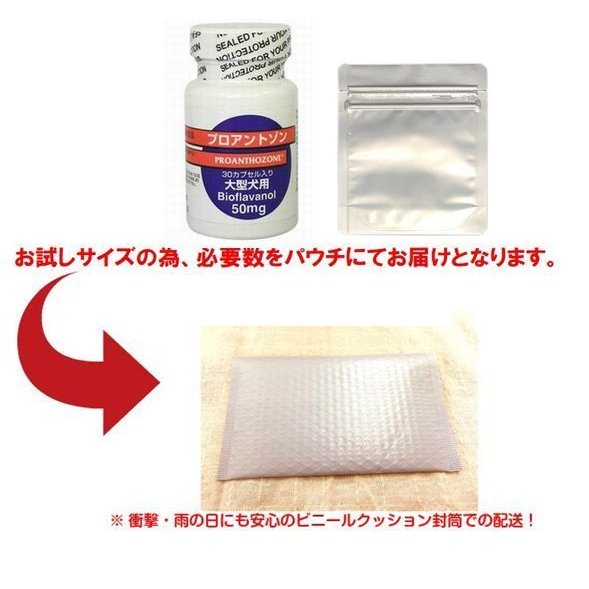 共立製薬 プロアントゾン 50mg 大型犬用 お試し 10カプセル 送料無料（ポスト投函便）