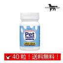 PET HEALTH(ybgwX) ARA +DHA p  40JvZ i|Xgցj