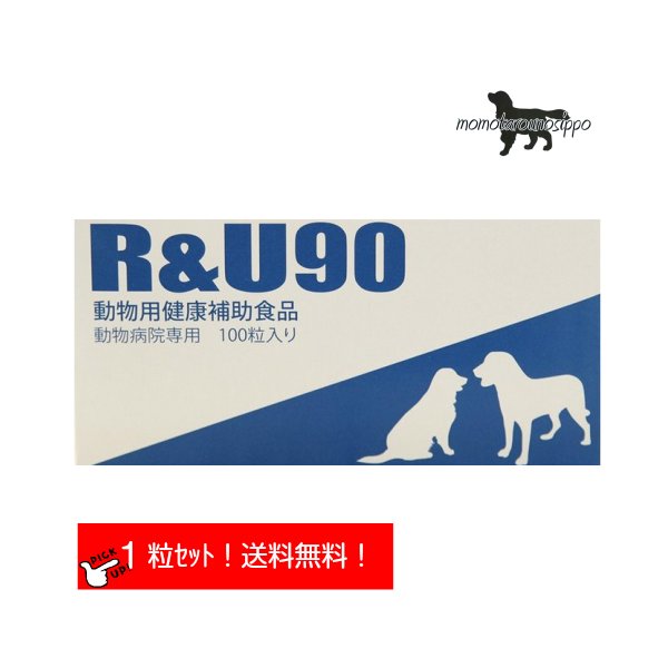 R&U 90 1粒犬用 体重30kg 1日1粒 1日分お試し 共立製薬 犬猫用 皮膚 脱毛 健康補助食品