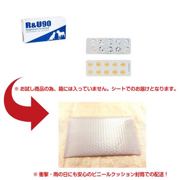 R&U 90 1粒犬用 体重30kg 1日1粒 1日分お試し 共立製薬 犬猫用 皮膚 脱毛 健康補助食品