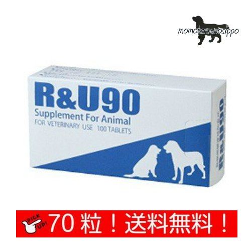 共立製薬 R&U90 犬用 10粒×7シート (70粒) 送料無料（ポスト投函便）