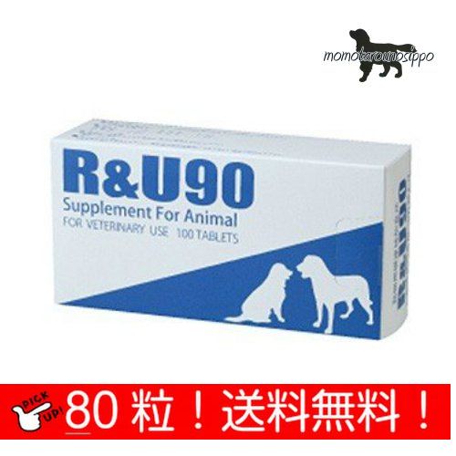 共立製薬 R&U90 犬用 10粒×8シート (80粒) 送料無料（ポスト投函便）