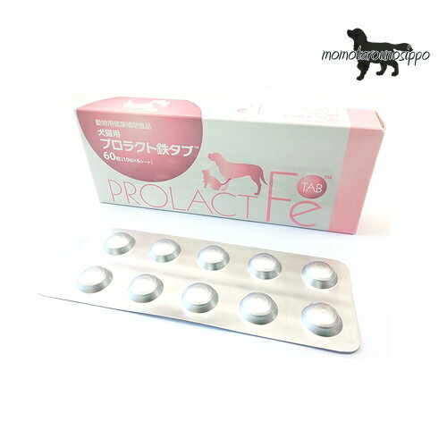 共立製薬 プロラクト鉄タブ 犬猫用 60粒（10粒×6シート）※お一人様6個まで！送料無料（ポスト投函便）