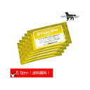 森乳サンワールド 経腸栄養食 犬用チューブダイエット キドナ 20g×5包 送料無料(ポスト投函便)