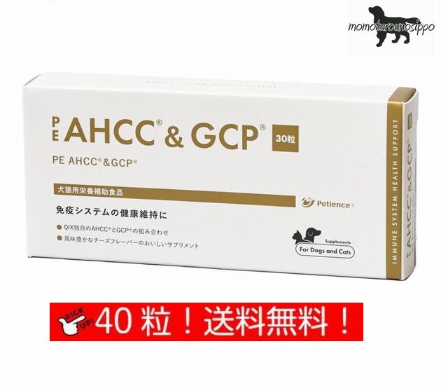【QIX】PE AHCC&GCP お試し 犬猫用 体重15kg〜19kg 1日4粒 10日分 (10粒×4シート)送料無料（ポスト投函便）