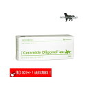 セラミド オリゴノール タブ 犬用 体重10kg〜14kg 1日3粒 10日分 (10粒×3シート)【QIX】ペティエンス 送料無料(ポスト投函便)(4)