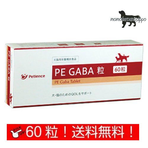 PE GABA L  60 (10~6V[g) yQIXzyeBGX i|Xgցj