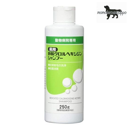 薬用酢酸クロルヘキシジンシャンプー 250g ささえあ製薬
