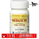 リダックス10 犬用 お試し 体重1kg～4kg 1日1カプセル10日分 (10カプセル)日本全薬工業 送料無料（ポスト投函便）