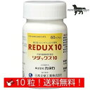 リダックス10 猫用 お試し 体重1kg～10kg 1日1カプセル10日分 (10カプセル)日本全薬工業 送料無料（ポスト投函便）