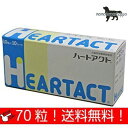 日本全薬工業 ハートアクト 犬用 10粒×7シート (70粒) 送料無料(ポスト投函便)