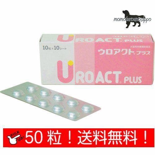 楽天市場】アンチ ノール 犬 用 60 粒の通販 楽天市場】アンチ ノール 犬 用 60 粒の通販