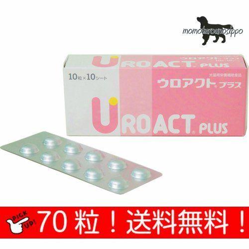 Beer Yeast - ウロアクト プラス 犬猫用 10粒×7シート(70粒） 犬用 日本全薬工業 送料無料（ポスト投函便）