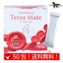 テツメイト 日本全薬工業 犬猫用 50包 送料無料(ポスト投函便)(4)
