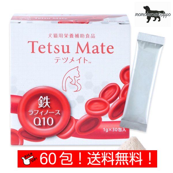 テツメイト 日本全薬工業 犬猫用 60包 送料無料（ポスト投函便）