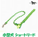 PARACORD LEAD pV[gR[h V[g[h iJ[FC CgO[O[j^[h i|Xgցj