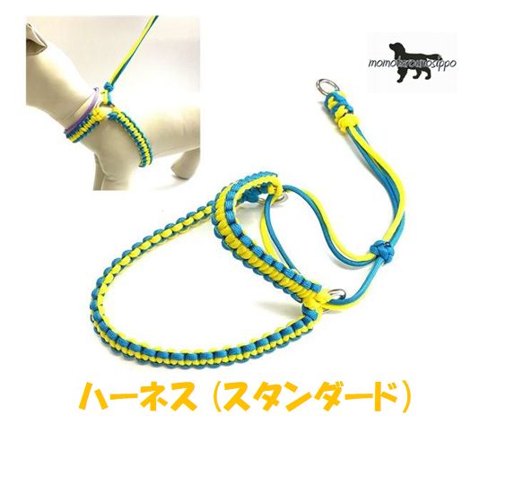 Rakuten - PARACORD HARNESS パラシュートコード ハーネス らくちんスタンダード カラー A: レモン・ターコイズブルー 送料無料（ポスト投函便）