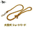 PARACORD LEAD pV[gR[h V[g[hiJ[FB lIIWE}bguEER[ej^[h i|Xgցj