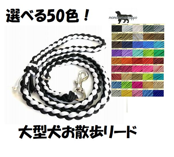 PARACORD LEAD ѥ饷塼ȥ ٤50 ꡼ɡʥ饤Ԥߡ 緿꡼ 8Ԥ ̵ʥݥȡء