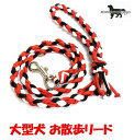 PARACORD LEAD pV[gR[h U[hj J[FC bhEubNEN[zCg ^[h 8{҂ i|Xgցj