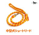 PARACORD LEAD pV[gR[h V[g[hiJ[FA CG[IWj^[h i|Xgցj