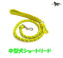 PARACORD LEAD pV[gR[h V[g[hiJ[FB CG[XvOO[j^[h i|Xgցj