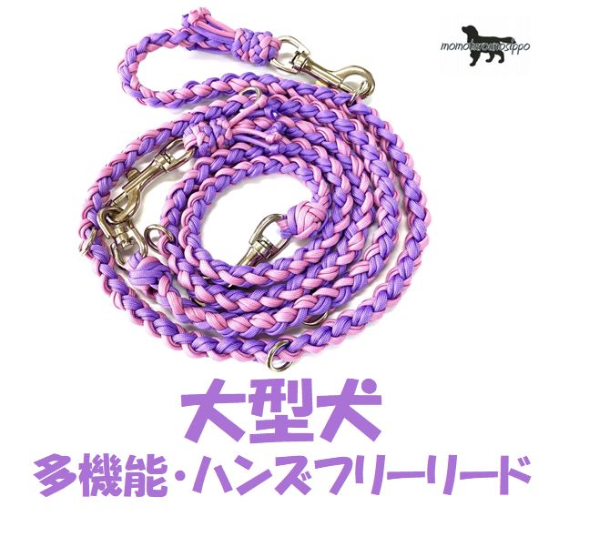 PARACORD LEAD �ѥ饷�塼�ȥ�����¿��ǽ���ϥ󥺥ե꡼�꡼�� ���顼��B �ѡ��ץ롦�������ԥ� �緿���꡼�� ����̵���ʥݥ�����ȡ�ء�