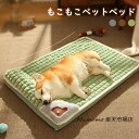 犬ベッド 猫ベッド クッション ふわふわ ぐっすり眠る ペットベッド ペットソファー ペットクッション クッション性が M/50cm L/60cm サイズ 子犬...