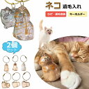 【6%OFFクーポン】2個セット ペット 遺毛 ケース 透明 ペット 遺毛入れ 猫の毛収納ボトル ペットメモリアルボトル 猫のキーホルダー 毛を保管するボトル ...