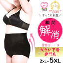 ★ 即日発送 mo2大きいサイズ専門店 ガードル 1位 大きいサイズ 夏用 ぽっちゃり ぽっこりお腹 骨盤ガードル 補正ガードル ショーツ 30代 40代 50代 2l 3l 4l 5l 補正下着 矯正下着 骨盤矯正 矯正 補正 お腹 40代 60代 補正ショーツ 送料無料 mo2 エムオーツー