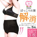 ★500円OFF 限定早い者勝ち 即日発送 ガードル ぽっこりお腹 ハイウエスト 1位 セット 大きいサイズ ぽっちゃり 補正下着 矯正下着 大きい下着 人気 ...