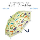 傘 子供用 子供傘 ディノサウルスピクチャーブック ビニール傘 55 cm かさ 軽い 折れにくい ベビー キッズ 子ども 子供用 男の子 女の子 【着日指定可...