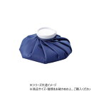 【タイムセール ポイント5倍】 DANNO ダンノ アイスバッグ 氷のうM D7726