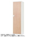 【5/17タイムセール!P6倍】 豊國工業 オール扉タイプ1人用(ダイヤル錠) RLK-TTD145-WNT