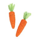 【5/10 ポイント9倍】 ルークラン ループ ファニーズ キャロット(2個セット) ペット用品