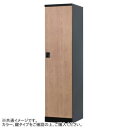 【5/17タイムセール!P6倍】 豊國工業 オール扉タイプ1人用(内筒交換錠) RLK-TTN145-BMB