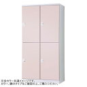 【タイムセール! ポイント5倍】 豊國工業 オール扉タイプハンガーパイプ式4人用2列2段 W900(内筒交換錠)RLK-TTPN4290-WLP