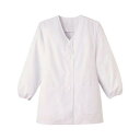 【タイムセール ポイント5倍】 サーヴォ SerVo 女子衿無調理衣 長袖 抗菌 ホワイト LL FA330