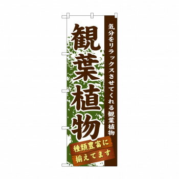 【5/1は！ ポイント10倍】 のぼり GNB-1071 観葉植物