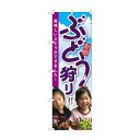 【6/27は、ポイント5倍】 のぼり SNB-2202 ぶどう狩り 子供写真