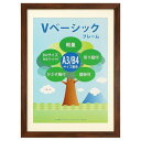 【5/23は!ポイント8倍】 Vベーシックフレーム A3/B4 BR 105616(3)
