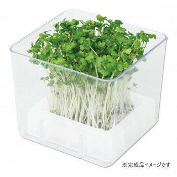 【タイムセール ポイント5倍】 アーテック スプラウト栽培キット カイワレダイコン(夏工) 102980 【タイムセール ポイント5倍】 アーテック スプラウト栽培キット カイワレダイコン(夏工) 102980