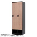 【5/17タイムセール!P6倍】 豊國工業 下段オープンタイプ2人用 W600(ダイヤル錠) RLK-TKD260-BBT