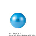 【5/23は!ポイント8倍】 DANNO(ダンノ) ギムニクボディボール95(LP9095) ブルー D5919