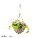 【タイムセール ポイント5倍】 コボバスケット 33-91