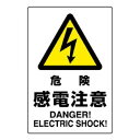 【6/20 ポイント9倍!】 ユニット JIS規格ステッカー 危険感電注意 802-502A