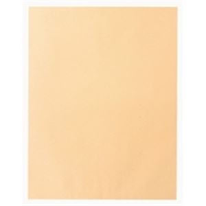 【タイムセール ポイント8倍！】 高春堂 ビッグ1封筒 741 クラフト 100枚入